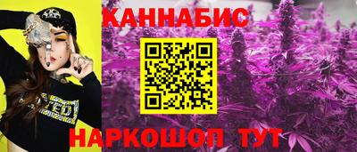 индика Лесосибирск