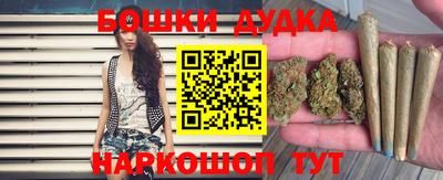 индика Лесосибирск