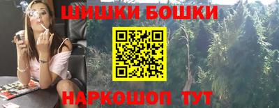 индика Лесосибирск