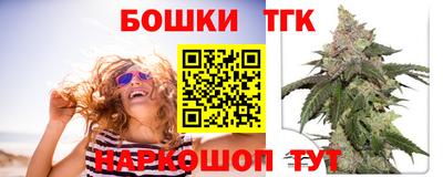 индика Лесосибирск