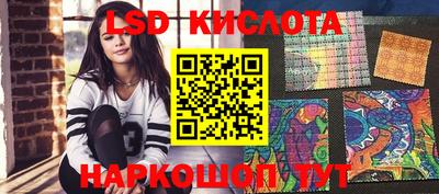 индика Лесосибирск