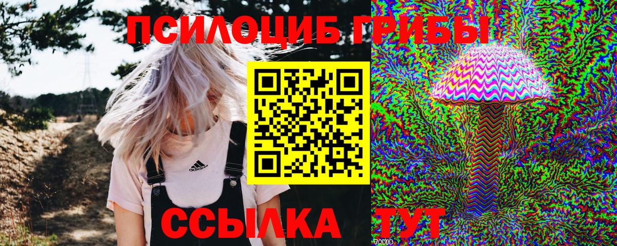 Псилоцибиновые грибы MAGIC MUSHROOMS Аксай