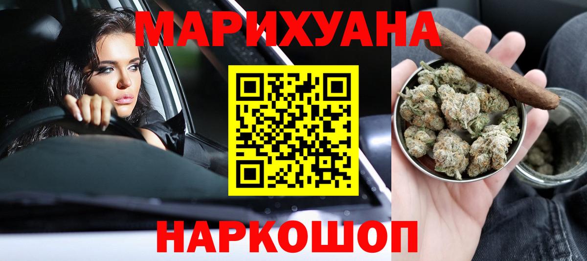 Конопля сатива Аксай